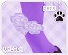 [Pets]Celest|ankle roses