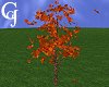 Falling Leaf Tree Red