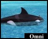 [Omni] Whale Animated