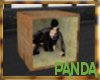 [PANDA]Cardboard Box