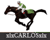 xlx Horse racing 10