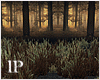 Autumn Dark Forest