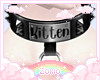 Kitten Collar