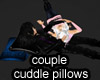Cuddle PVC blue pillows