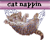 Cat Nappin