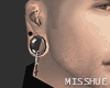 Silver Plugs and Hoops