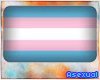 A| Transgender Flag