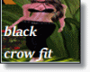 BLACK CROW FIT