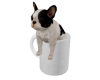 Bulldog in Coffee Cup