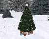 Christmas Tree/ Ride