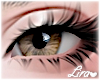 💗 Left Brown Eyes