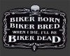 (HH) Biker Born