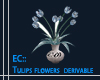 EC:Tulips derivable