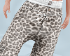 String Jeans Leopard