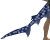 Blue WhaleShark Tail