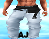 AJ Mens Pants Blue