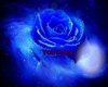 Youtube Rose bleu