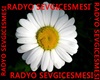 RADYO SEVGICESMESI