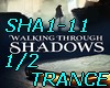 SHA1-11-SHADOWS-P1