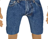 cz. shorts jeansv1