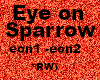 Eye on the Sparrow -Male