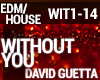 David Guetta Without You