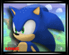 sonic pet