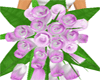 [DML] Pink N White Roses