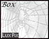 𝓛 Box Web