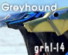 Greyhound-SHM