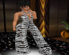 TEF DW FORMal PANT SET