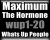 Maximum the Hormone