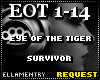 Eye Of TheTiger-Survivor