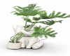 elephant planter