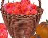 Autumn Harvest Basket