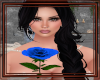 {D} Blue Single Rose