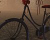▲Black  Bike Poses