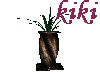 [kiki]new tropical plant