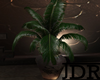 Western Potted Plant