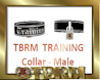 [TBRM] Training Collar
