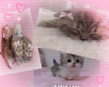 ! kitten posters cute