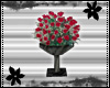 *S* Rose Black planter
