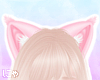 N' Pink Cat Ears