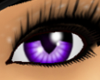 [ZK] Purple RAWR eyes F