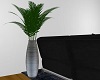 !! Our Plant 3