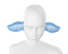 PF Blizza Ears 1