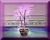 [CND]Bonsai Tree Purple