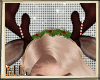 ML Reindeer Antlers 2