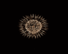 *NEW YEAR FIREWORKS*