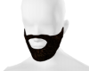 Jaw shape beard